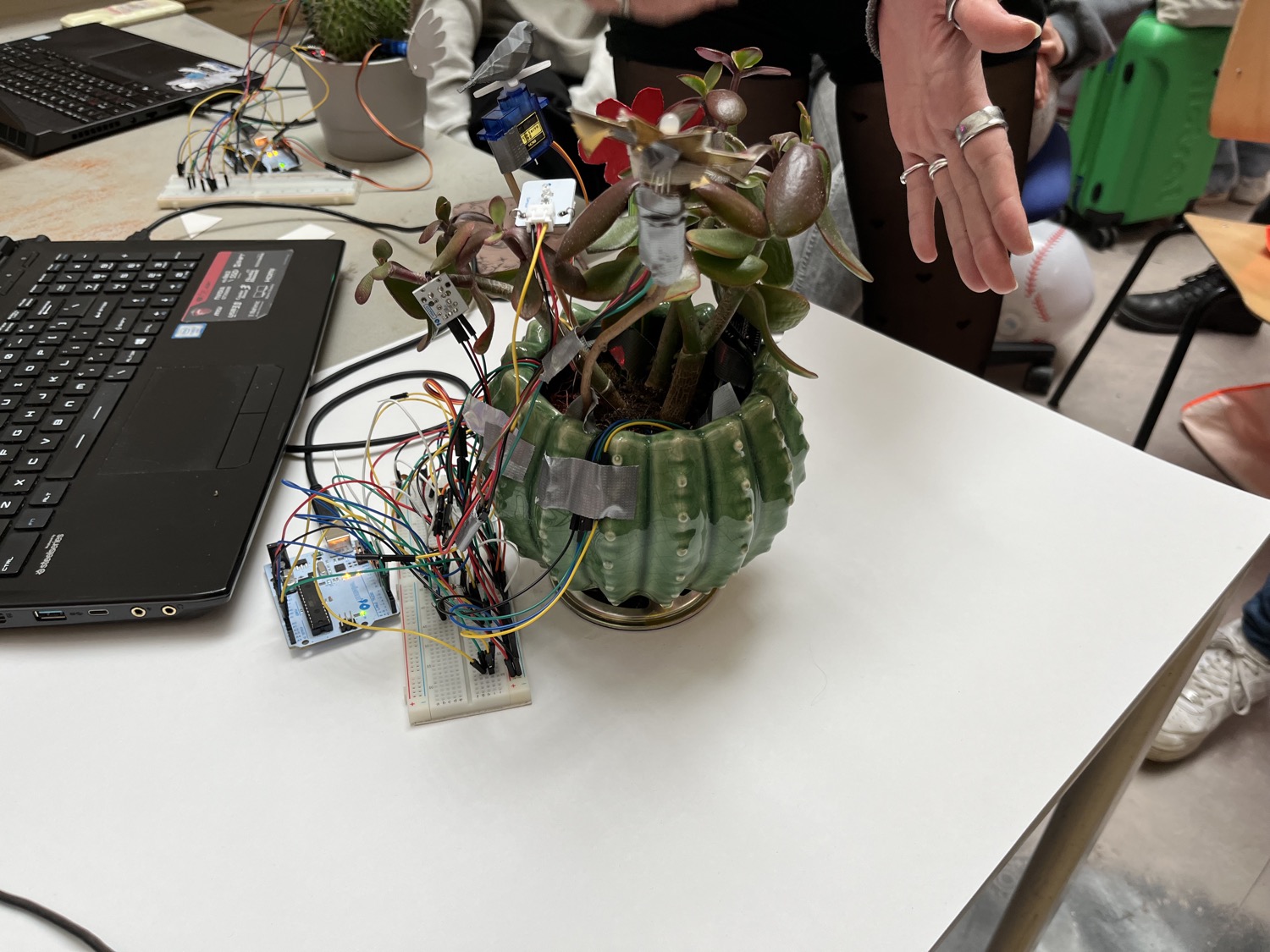 A physical plant is communicating with the silicon on the Arduino.